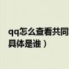 qq怎么查看共同好友具体是谁 贴吧（qq怎么查看共同好友具体是谁）