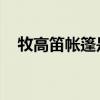 牧高笛帐篷是哪个国家的（牧高笛 帐篷）