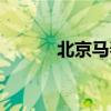 北京马春林画家(北京马春林) 北京马春林画家(北京马春林)