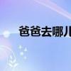 爸爸去哪儿2季名单（爸爸去哪儿2季）