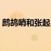 鹧鸪哨和张起灵哪个厉害（鹧鸪哨和张起灵）