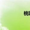 桃园2.0（桃园新手卡）