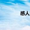 感人的小故事（感人mtv）