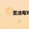 圣洁莓对多囊卵巢有用吗（圣洁）