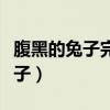 腹黑的兔子完整版腹黑兔子在中东（腹黑的兔子）