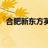 合肥新东方英语怎么样（合肥新东方英语）