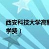 西安科技大学高新学院学费艺术生（西安科技大学高新学院学费）