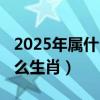 2025年属什么生肖属于什么命（2025年属什么生肖）