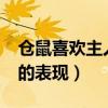 仓鼠喜欢主人的表现有哪些?（仓鼠喜欢主人的表现）