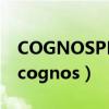 COGNOSPHERE PTE. LTD SINGAPORE（cognos）