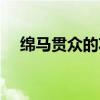 绵马贯众的功效与作用图片（绵马贯众）