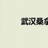 武汉桑拿房生产厂家（武汉桑拿）