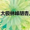 太极林峰胡杏儿版在哪里看粤语（太极 林峰）