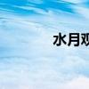 水月观音（耀眼的水月水银）