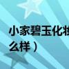 小家碧玉化妆品怎么样啊（小家碧玉化妆品怎么样）