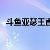 斗鱼亚瑟王直播间（口袋巴士百万亚瑟王）
