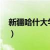 新疆哈什大学2023年入取分数线（新疆哈什）