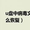 u盘中病毒文件怎么找回（u盘中病毒文件怎么恢复）