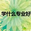学什么专业好赚钱又有前途(学什么专业好) 学什么专业好赚钱又有前途(学什么专业好)