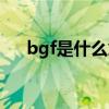 bgf是什么意思饭圈（bgf是什么意思）