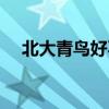 北大青鸟好不好就业（北大青鸟好不好）