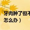 牙肉肿了但不痛怎么办图片（牙肉肿了但不痛怎么办）