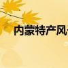 内蒙特产风干牛肉干价格（牛肉干价格）