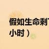 假如生命剩下n小时怎么办（假如生命剩下n小时）