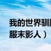 我的世界驯服末影人mod（我的世界怎么驯服末影人）