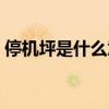 停机坪是什么意思解释（停机坪是什么意思）