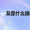 友是什么结构什么偏旁（友是什么结构）