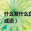 什么发什么白成语大全四个字（什么发什么白成语）