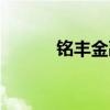 铭丰金融公司地址（铭丰金融）