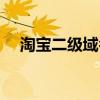 淘宝二级域名是啥意思（淘宝二级域名）
