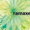 ramaxel是什么牌子（ramaxel）