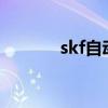 skf自动注油器（自动注油器）