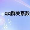 qq群关系数据库搭建（qq群关系数据库）