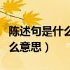 陈述句是什么意思举个例子说明（陈述句是什么意思）