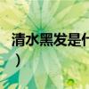 清水黑发是什么原理（清水黑发对身体有害吗）