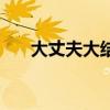 大丈夫大结局是什么（大丈夫大结局）