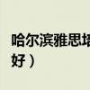 哈尔滨雅思培训机构哪家好(哈尔滨雅思哪里好) 哈尔滨雅思培训机构哪家好(哈尔滨雅思哪里好)