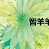 智羊羊小时候图片（智羊羊）