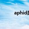 aphid是什么意思（aphidic a）