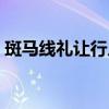 斑马线礼让行人罚款多少（斑马线礼让行人）