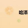 哈泽斯莱乌（哈泽尔图片）