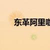 东革阿里咖啡的危害（东革阿里咖啡）