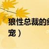 狼性总裁的绝版毒宠txt（狼性总裁的绝版毒宠）