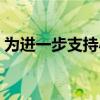 为进一步支持小微企业发展（小微企业发展）