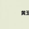 黄玉灵 书画（黄玉灵猫）