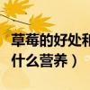 草莓的好处和营养价值的资料（草莓的好处有什么营养）